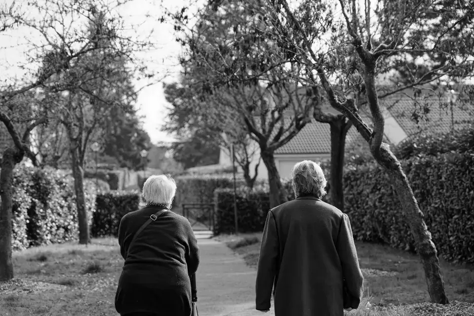 Navigating Roadside Challenges in Helotes, Texas — Helotes, TX